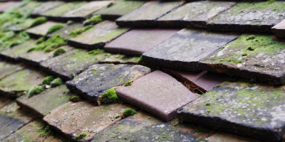 Biddenham roof repair costs